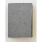 Ugo Maraldi: Az ágyútól a halálsugárig