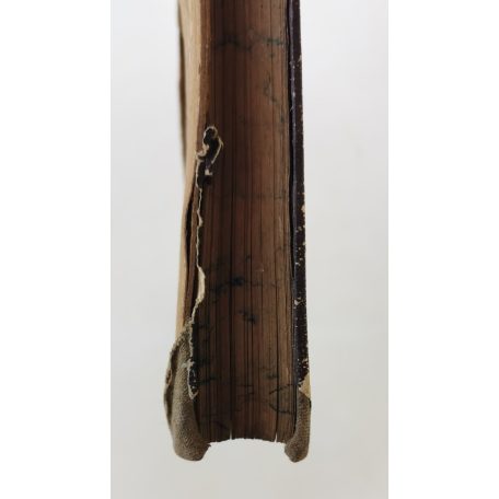 Magyar Tudományos Akadémiai Almanach csillagászati és közönséges naptárral 1877-re.