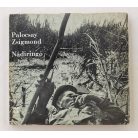 Palocsay Zsigmond: Nádiringó