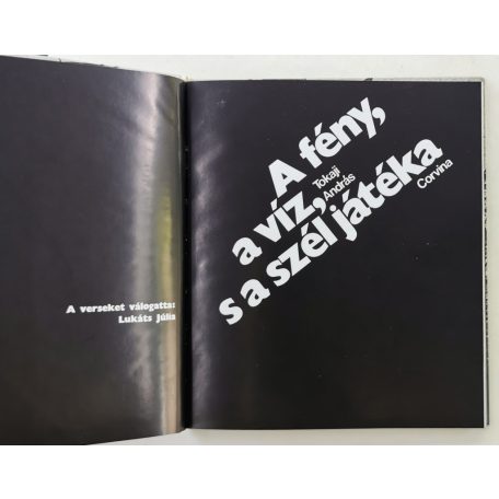 Tokaji András: A fény, a víz, s a szél játéka