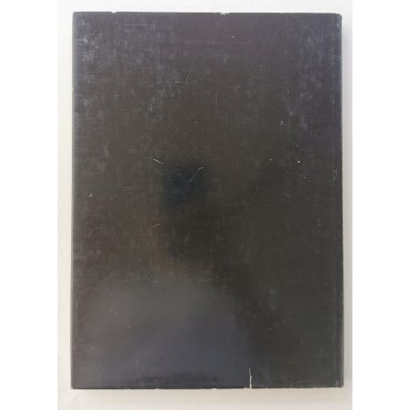 Bereczky Loránd: Muralia Hungarica - mai magyar épületdíszítő művészet (többnyelvű)