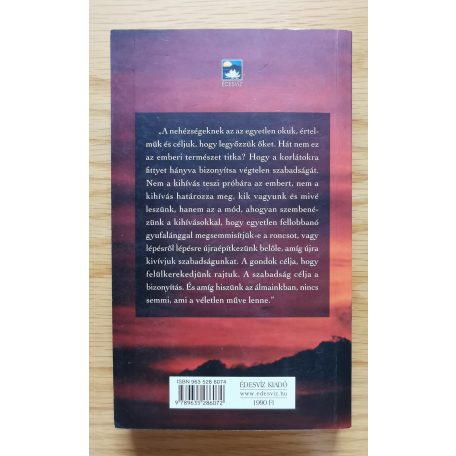 Richard Bach: Semmi sem véletlen