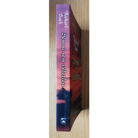 Richard Bach: Semmi sem véletlen