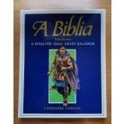Rigó Béla: A Biblia felfedezése I-VIII.