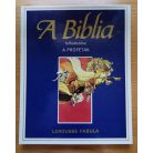 Rigó Béla: A Biblia felfedezése I-VIII.