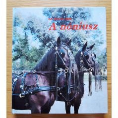 H. Ócsag Imre, Dr.: A nóniusz