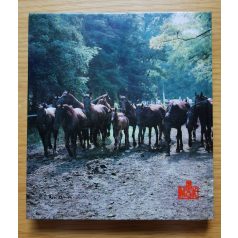 H. Ócsag Imre, Dr.: A nóniusz