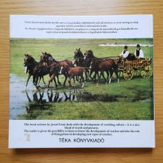 Ernst József: Régi magyar fogatok