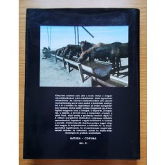 Ernst - Fehér - Ócsag (szerk.): Magyar lovaskönyv