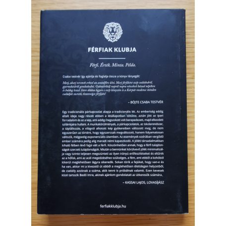 Bedő Imre: Férfienergia