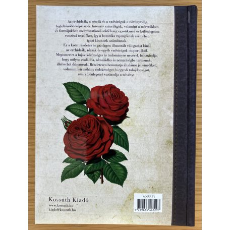 Lucrecia Pérsico Lamas: Orchideák, Rózsák és egyéb virágok 