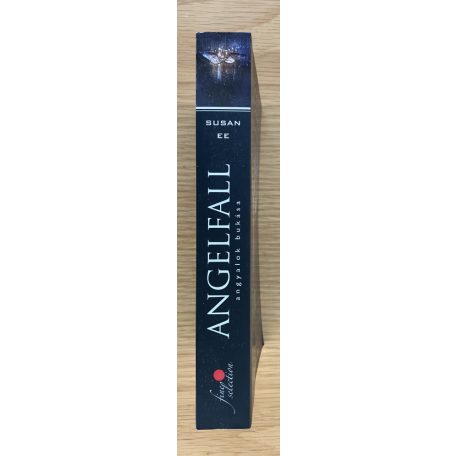 Susan Ee: Angelfall - Angyalok bukása