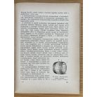 Mercz Árpád: A must és bor egyszerű kezelése 