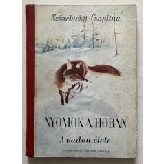 G. Szkrebickij - V. Csaplina: Nyomok a hóban