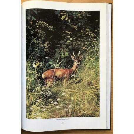 Fáczányi Ödön: Millenniumi Vadászati Almanach - Magyarország 2001