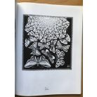 M. C. Escher: Grafikák és rajzok (A művész bevezetőjével és kommentárjaival)