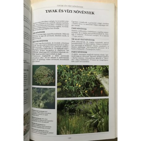 Terítéken az egészség - Gyógyító táplálékok a leggyakoribb betegségekre - az allergiától a vesekőig mindenre