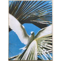   Pierre Thivollier: Az ember és a bűn (Isten népének története 18.)