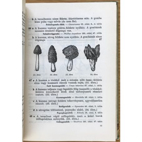 Bohus Gábor: Erdő-mező gombái