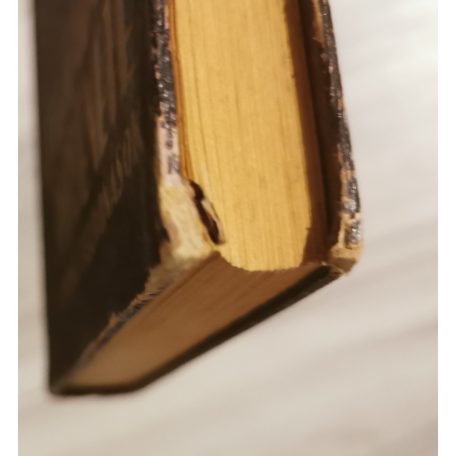 Gabányi János: A világháború története I.