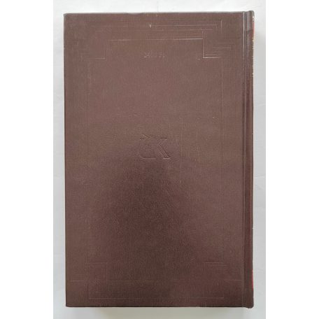 Jules Verne: A jangada (Jules Verne összes művei 28.)