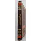 Jules Verne: Az aranymeteor (Jules Verne összes művei 33.)