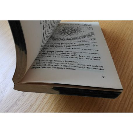 Margit Sandemo: Jéghegyek népe 2. Átkos örökség