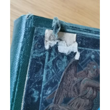 Sziklay János, Dr. - Borovszky Samu, Dr. (szerk.): Magyarország Vármegyéi és Városai: Fiume és a magyar-horvát tengerpart