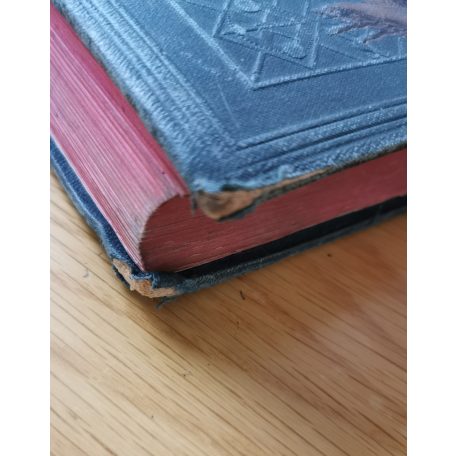 Borovszky Samu, Dr. (szerk.): Magyarország Vármegyéi és Városai: Bács-Bodrog 1.