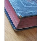 Borovszky Samu, Dr. (szerk.): Magyarország Vármegyéi és Városai: Bács-Bodrog 1.