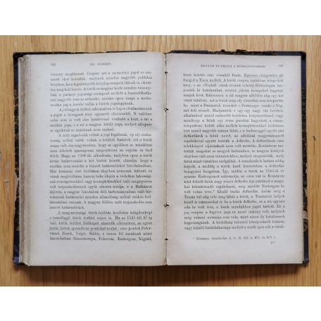 Salamon Ferencz: Magyarország a török hódítás korában