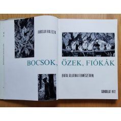 Jaroslav Holecek: Bocsok, őzek, fiókák