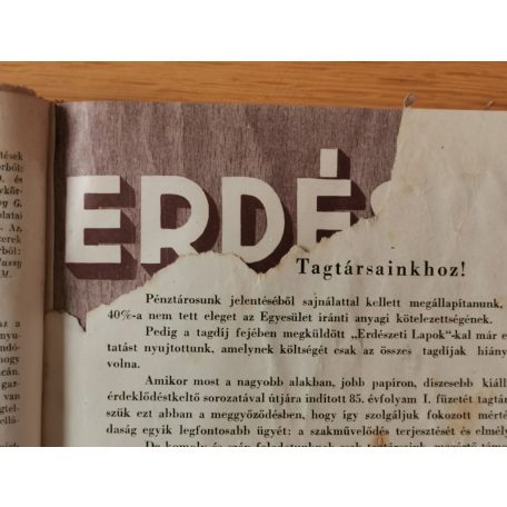 Erdészeti Lapok - LXXXV. Évfolyam - 1949. I-V., VIII-XI. lapszámok (9 db)