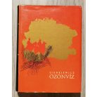  Sienkiewicz: Özönvíz I-II.