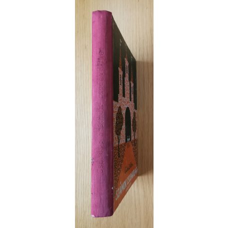 Csűrös Zoltán: Számok csodavilága