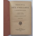 Verne Gyula: Dél csillaga. A gyémántok hazája.