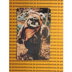 Star Wars trafikos kártyanaptár 1985