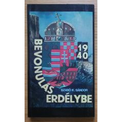 Szabó K. Sándor: Bevonulás Erdélybe 