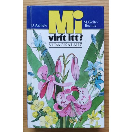 D. Aichele: Mi virít itt? 