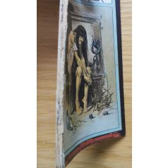 Erős Vincze: Ubrik Borbála a befalazott apáca