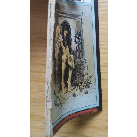 Erős Vincze: Ubrik Borbála a befalazott apáca