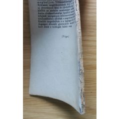   Kondor Lajos: Kruzoe Robinson viszontagságos élettörténete