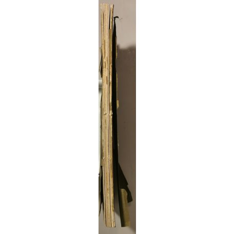 Bálint Nagy István, Dr.: Kolerajárványok Csanád vármegyében (Csanádvármegyei Könyvtár 15.)