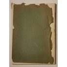 Bálint Nagy István, Dr.: Kolerajárványok Csanád vármegyében (Csanádvármegyei Könyvtár 15.)