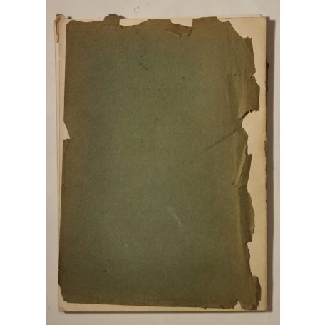 Bálint Nagy István, Dr.: Kolerajárványok Csanád vármegyében (Csanádvármegyei Könyvtár 15.)