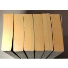 Michael A. Stackpole Star Wars: X-szárnyúak 1-6. (teljes)