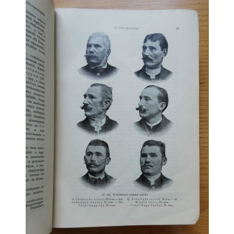 Csopey-Paszlavszky-Wartha: Természettudományi közlöny 1903. (35. kötet)