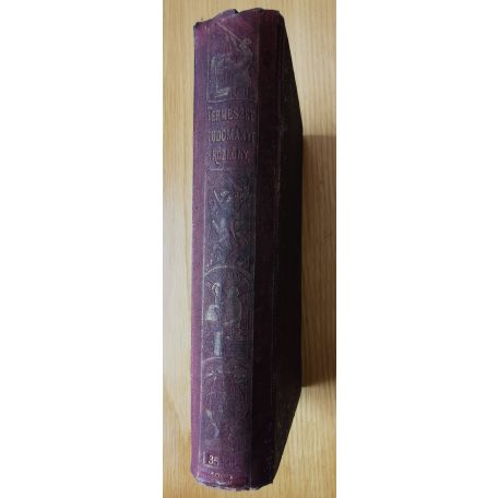 Csopey-Paszlavszky-Wartha: Természettudományi közlöny 1903. (35. kötet)