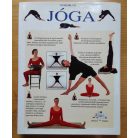 Mira Mehta: Gyakorlati jóga