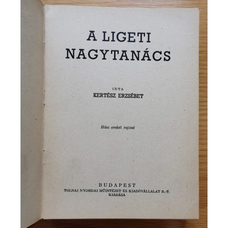 Kertész Erzsébet: A ligeti nagytanács